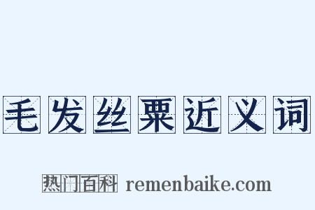 毛发丝粟近义词是什么意思的图片